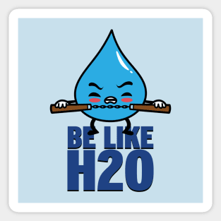 Funny Cute Kawaii Martial Arts Be like Water Retro Quote Meme Sticker